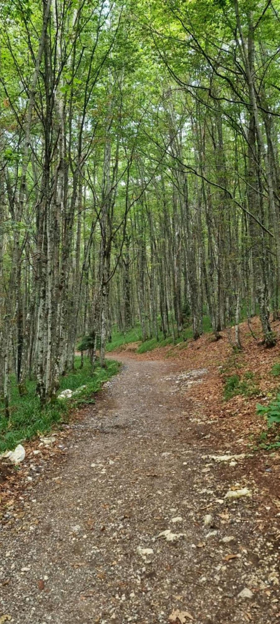 Winter Park Residence Bjelašnica Εξωτερικό φωτογραφία